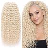 Ser Mulher Extension Capelli Sintetici, Ricci per Crochet Braids, Lunghe: 50 cm - Peso: 300 g - Extension Capelli Clip, Ricci Morbidi Effetto Naturale, Uncinetto Incluso, Platinum Blonde, RITMO