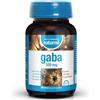 DietMed GABA 500 mg. 60 cap. - capsule che facilitano l'integrazione giornaliera, confezione da 60 capsule, raccomandata come aggiunta a una dieta equilibrata e diventa un alleato affidabile nella routine di