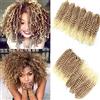 N/K 6 extension crochet in stile afro di capelli sintetici, ciocche di capelli ricci sfumati, 30,5 cm (stile 27/613)