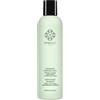 Namalei | Shampoo Anticaduta Rinforzante Uomo Donna - Capelli Deboli, Fragili e Tendenti alla Caduta - Zenzero, Ginseng, Caffè, Menta, Equiseto - Provitamina B5, Vitamina E - 250 ml