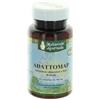 MAP Master Amino Acid Pattern ADATTOMAP 60CPR