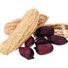 Generic Semi di arachidi fresche per la semina confezione da 100 semi