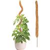 Yeeda Asta di muschio al cocco, pieghevole, 4 misure, per piante rampicanti | Coco Plant Pole per piante rampicanti