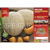 Orto Mio Piantine di Ortaggi in pack cubettato per la produzione famigliare disponibili in molte tipologie e varietà (Melone retato Magnificenza F1 4 piante)