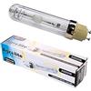 Agrolite Lampada per Crescita/Fioritura Agrolite CMH/LEC 3000ºK (315W)