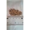 Generic Semi Pino, Pinus thunbergii Semi, ti insegnano come far crescere, 50 particelle/bag