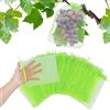 DEJIN Confezione Da 50/100 Sacchetti for La Protezione Della Frutta - Copertura In Rete Con Coulisse for Fragole, Fichi, Uva | Protezione for Piante Riutilizzabile E Traspirante(100pcs,30x40CM)
