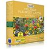 EUROPA GREEN Fiori misti per api (17M2) - Prato Giapponese (Api)