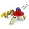 TANIASHOP Mini Centralina GPL 2 Bombole 7Kg/h Regolatore Gas Bassa Pressione 30 mbar con Valvole Sicurezza