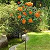 generico AMDGarden Pianta Rosa Brevettata Louis de Funès® Meilland Arancione ad Alberello h 120 cm Vaso 24 cm