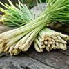 Generic semi di citronella - citronella - invernali, citronella di letti rialzati, balcone del giardino 400pcs
