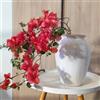 Generic semi resistenti di piante di bouganville - fiori di perforazione - semi di aiuola rialzata balcone giardino semi di fiori perenni regali da giardino fiori di campo piante perenni 500pcs