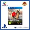 Alternative Software Don Bradman Cricket 17 - PlayStation 4 - [Edizione: Regno Unito]