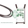 INA Cinghia trapezoidale INA FB 10X550