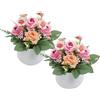 Morbuy Piante Artificiali da Interno con Vasetto Plastica, 2 Pezzi Rosa Piccolo Piantine Finte Decorative Realistiche Verde per Scrivania, Ufficio, Soggiorno e Decorazione della Casa (A)