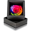 Aluisi Fiori Rosa Stabilizzata Multicolore in Cofanetto Nero - Rosa Stabilizzata Vera - Rosa Eterna - Fiore Stabilizzato - Fiori Stabilizzati - Simbolo di Eclettismo e Arte - Idea Regalo