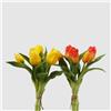 EDG Enzo de Gasperi Tulipano Olis gommoso, Fiore Artificiale per Decorazione, Bouquet 5 Tulipani Finti H28 cm 2 Varianti(1pz) Giallo
