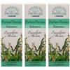 FEI FAN Essenze Aromatiche per Caloriferi e Umidificatori, Anche a Ultrasuoni, Disponibile in Varie Profumazioni, 100ml (3 unità, Eucalipto Menta)