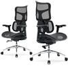 SIHOO Doro S100 Sedia da ufficio ergonomica - con supporto lombare dinamico doppio, schienale regolabile su 5 livelli, braccioli coordinati su 4D, angolo massimo di reclinazione di 135 gradi, nera