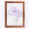 Online-GalleryKing Cornice Foto 35 x 85 cm Cornice per Poster Puzzle Collage di Foto Colore Rame in Vetro antiriflesso e Cornice in MDF da 35 mm