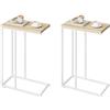 WOLTU Set di 2 Tavolino Laterale da Divano Tavolo da Caffè Supporto Piano D'appoggio in Legno Metallo TSG17hei-2