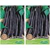 Germisem Purple Queen Semi di Fagioli Francesi 100 g (Confezione da 2)