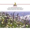 CLASSICO Mendelssohn: Concerto For Viol