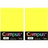 Oxford Plus Office - Carta colorata A4 100 pezzi, 80 g/m², 210 x 297 mm, carta A4 colorata, morbida al tatto, perfetta per rilegatura, ufficio, disegno e artigianato, colore: giallo limone (Confezione da 2)