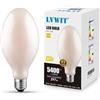 LVWIT Lampadine LED E40 Luce Calda 2700K, Lampadina LED Filamento 38W Equivalenti a 297W, 5400LM, Lampadine Luce Calda, Lampadina Stile Vintage,Risparmio Energetico,Non Dimmerabile, Pacco da 1 Unità