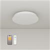 byecold Riscaldatore a infrarossi a soffitto con termostato 750 Watt, riscaldamento a infrarossi a soffitto, torcia riscaldante circolare a soffitto, controllo APP e telecomando, riscaldamento elettrico