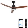 CREATE / WINDSTYLANCE DC/Ventilatore da soffitto con WIFI con luce, motore DC nero, pale in legno scuro/Silenzioso, 2 altezze, timer