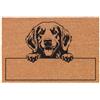 Social crazy Tappeto zerbino personalizzato - Personalizzato Cane golden retriever - cocco naturale ideale per ingressi (Cocco Naturale, 60x40 cm)