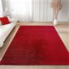 Carpettex Tappeto Rosso 160x220 cm Tappeto Lavabile a Pelo Corto, Antiscivolo e Morbido, Design Monocromatico Moderno per Soggiorno, Cucina e Corridoio, Camera da Letto