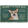 Boxbit zerbino ingresso esterno tappeto Zerbino personalizzato Corgi Welcome To My House Rules decorazioni casa Regali