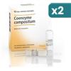 Guna Bipacco Coenzyme Compositum 2x10 Fiale