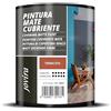 JOVIRA PINTURAS Pittura di copertura opaco. Pittura per interni ed esterni con eccellente potere coprente. (750 Millilitri, Terracotta)