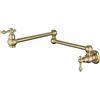 LiHFA Rubinetto per Riempimento Pentole, Rubinetto da Cucina in Ottone A 2 Maniglie A Parete, Rubinetti Singolo Freddo Pieghevole con Rotazione A 360 °, con Bracci Oscillanti A Doppio Snodo,Brushed Gold