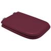 Dianhydro Copriwater Coprivaso Sedile WC x Ideal Standard Vaso Conca Color Castoro