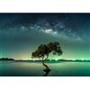 Runa Art Carta da parati fotografica Aurora boreale Albero Cielo notturno Moderno Vello Soggiorno Camera Da Letto Sala - Made in Germany - Verde 9590010a