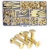 FEEIMOL Set di 90 Viti Chicago per Rilegatura, M5x(6-30mm), Placcate Ottone