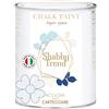 GENERICO SHABBY TREND® CHALK PAINT Pittura Shabby Chic Vintage Mobili Pareti Extra Opaca 120 VARIANTI (375ml, BIANCO GHIACCIO)