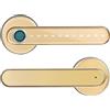 YVAAASIYC Blocco biometrico delle impronte digitali Bluetooth Chiave colore oro APP Serratura digitale intelligente con maniglia elettronica(Gold)