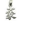 Empress Jewelry Ciondolo in argento 925 Simbolo cinese Intelligenza PE001273