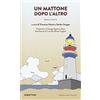 Rubbettino Un mattone dopo l'altro