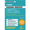 Neldiritto Editore Domande e risposte. Diritto del lavoro. Simula l'esame e testa la tua preparazione
