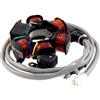 Piaggio STATORE PIATTELLO SUPPORTO BOBINE SCOOTER PIAGGIO ZIP SFERA QUARTZ TYPHOON 168030 830294