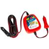Avilia Caricatore Universale Auto-Switch per Batterie Fino a 2700cc - Ricarica Rapida, Cavo Accendisigari 5m, Indicatore LED - Booster d'emergenza Professionale