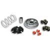 Malossi 5111885 VARIATORE MALOSSI GILERA NEXUS 250 ie 4T LC euro 3 MULTIVAR 2000