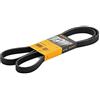 Continental CONTITECH 6PK1613 Cinghia Poly-V