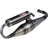 GIANNELLI MARMITTA SHOT V4 SCOOTER MOTORE PIAGGIO OMOLOGATA CEE E13 0346 CON SILENZIATORE IN CARBONIO